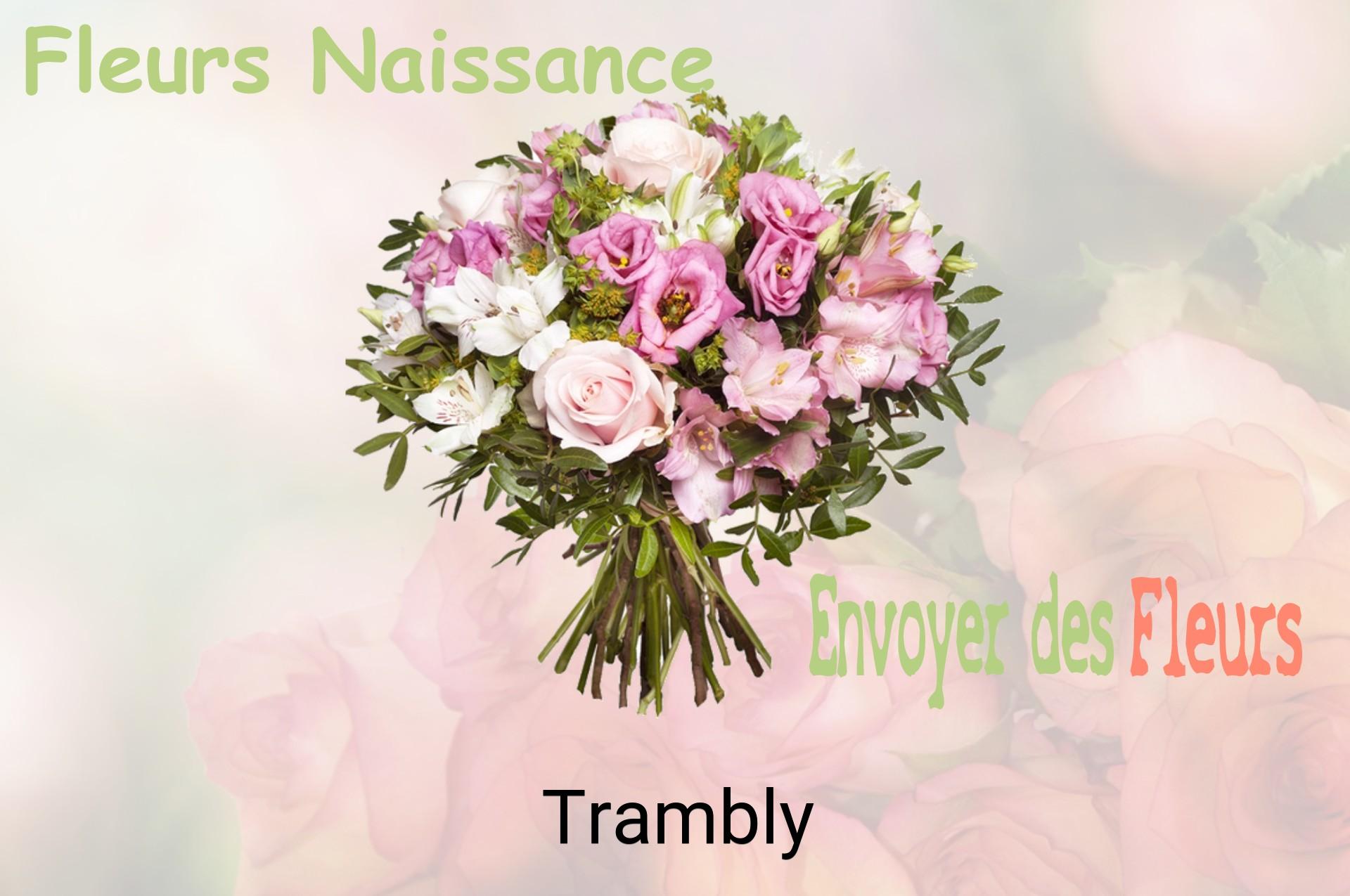 Bouquet de fleurs de naissance livré à Trambly