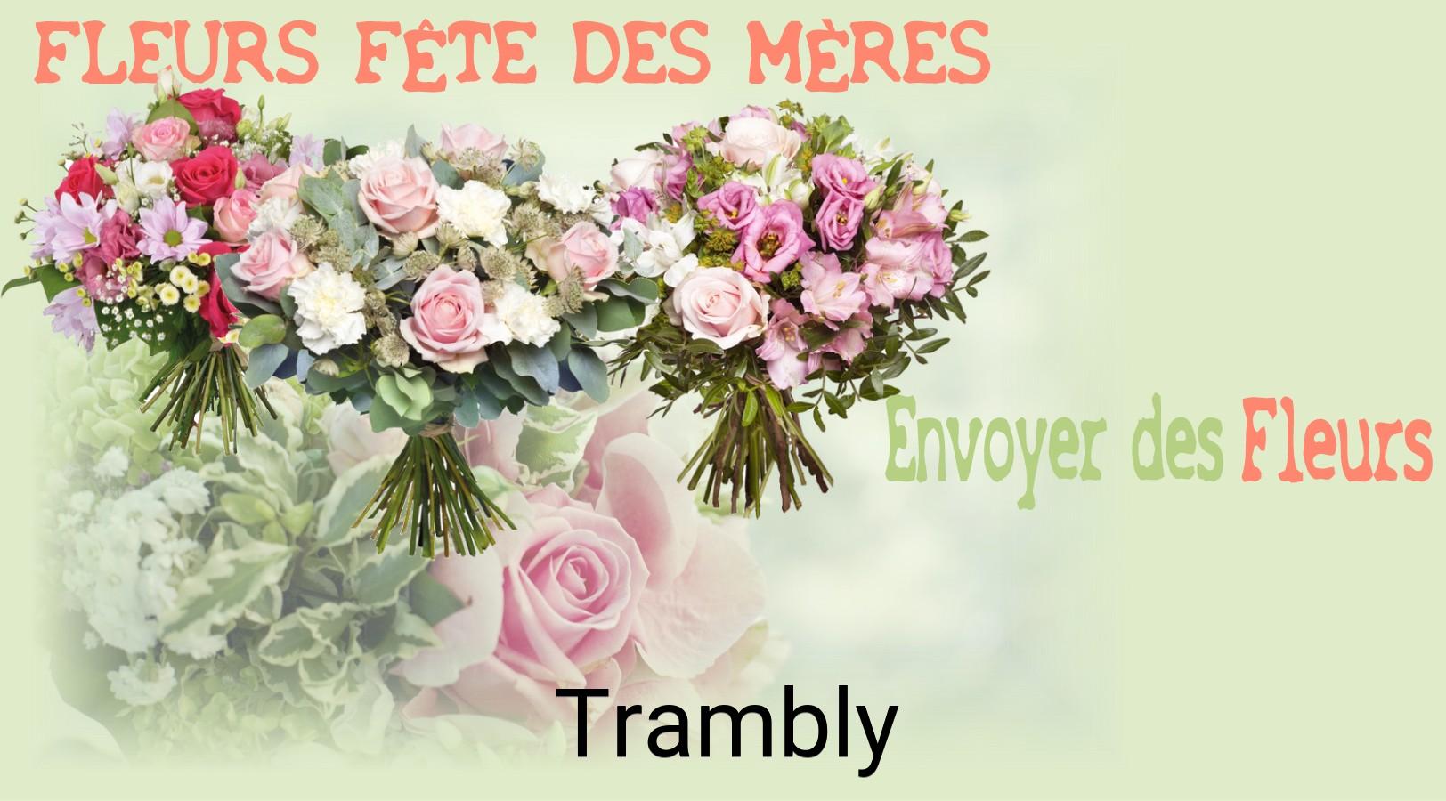 Bouquet de Fête des Mères livré à Trambly